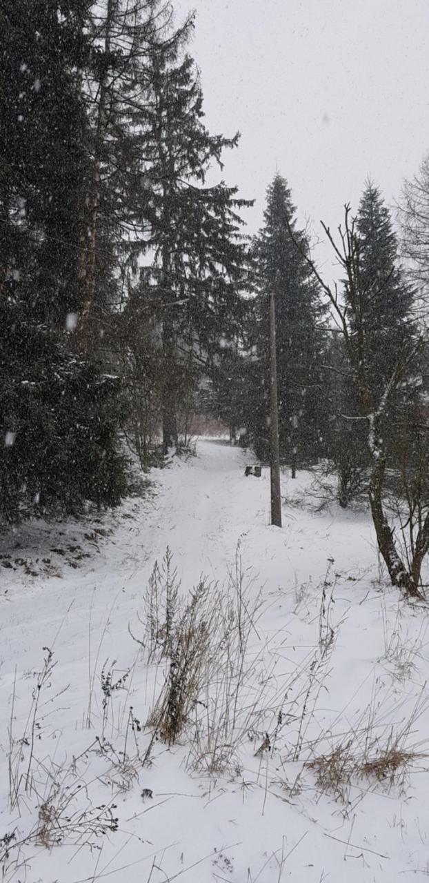Chata Na Kovarne Rýmařov Dış mekan fotoğraf